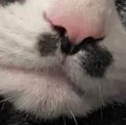 Mの画像