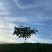 りょうた