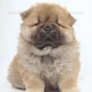 桃次郎(^_^)の画像