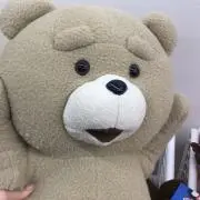 Ted プロフ必読願います！の画像