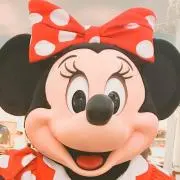 ひまわり