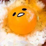 yuki.の画像