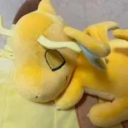 こくしむの画像