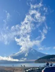 アラババの画像