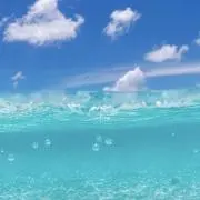 mwbgbの画像