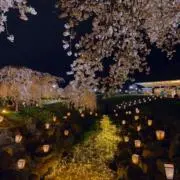 上ヲ向ケの画像