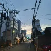 しょうの画像