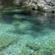 Emerald Greenの画像