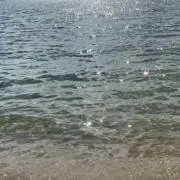 たもの画像