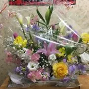 Necoの画像