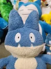 たむの画像