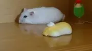 ゆう