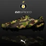 puma.11