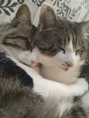 初　♡いいね大歓迎♡の画像