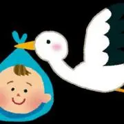 コウノトリの画像