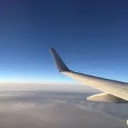 めめの画像