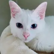 mitsun320の画像