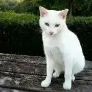 yuuunの画像