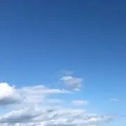 とりるの画像