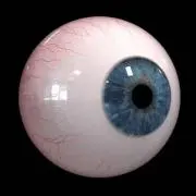 わたしの画像