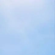 moaの画像