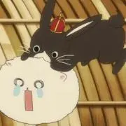 黒ウサギ