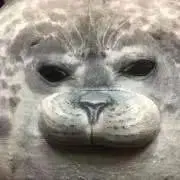 モスの画像