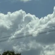 Kumochanの画像