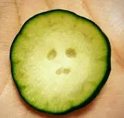 モツの画像