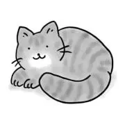 さっちーさんの画像