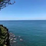 おかしげの画像