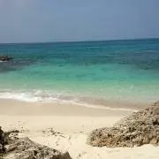 もにゅ
