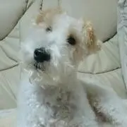 もこの画像