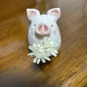 Sugiの画像