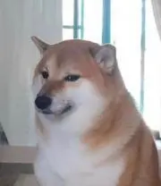 イッヌさん(断捨離中)の画像