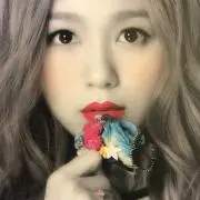 ごんの画像