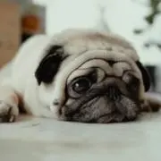 mの画像