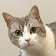 ゆるハッピー