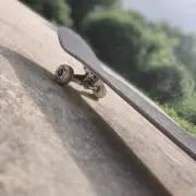 ゆーき