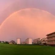 Pの画像