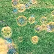しゃぼんだまの画像
