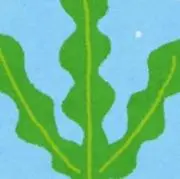 すくりーん