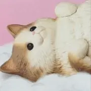 nukoの画像