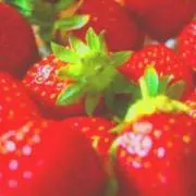 とこたん※プロフ必読