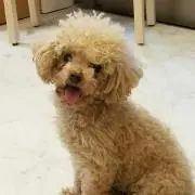 利人