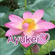 Image of Ayukei♡