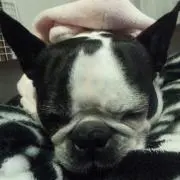 あーちゃん