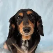 あっくんの画像
