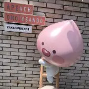 ぷんの画像