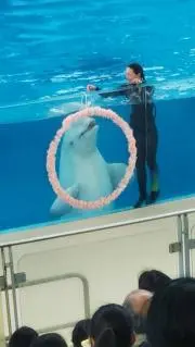 sea*